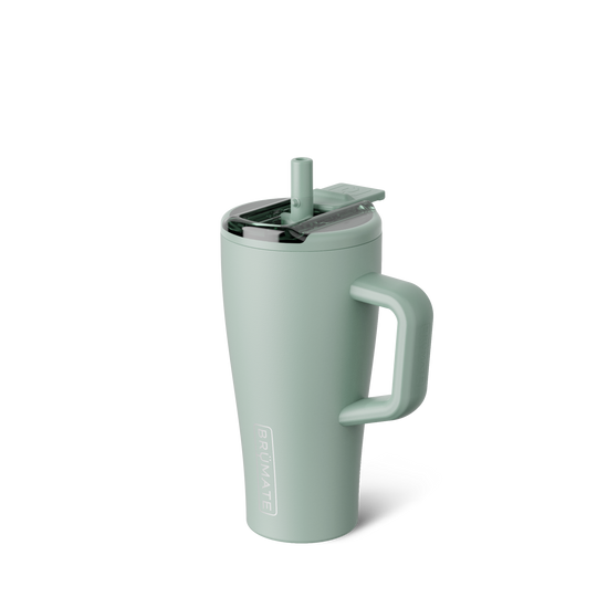 Era Flip 20oz | Sage