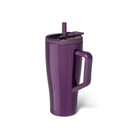 Era Flip 30oz | Plum